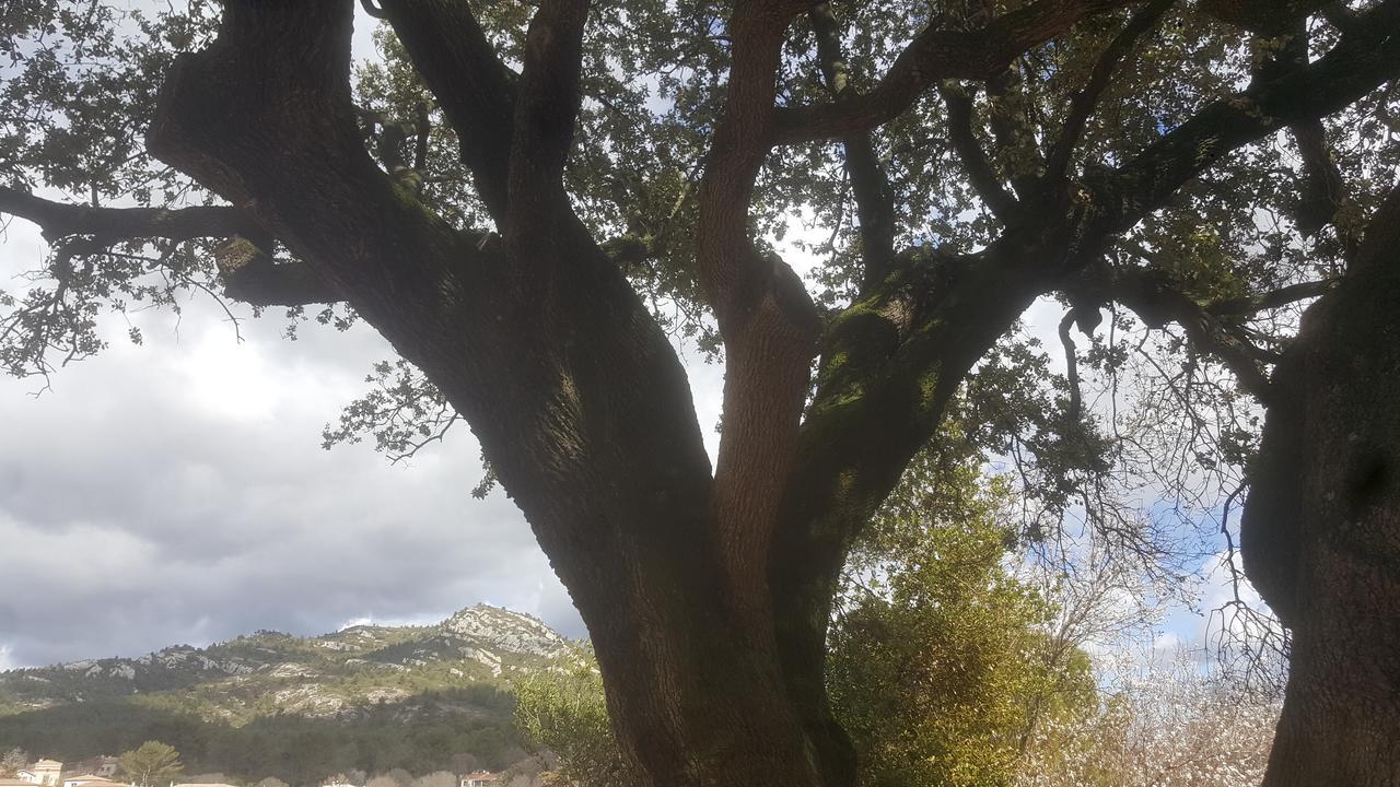 Charmant Appartement Neuf Le Taoume Marseille Luaran gambar